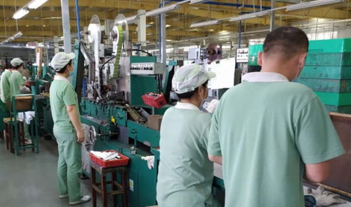 廣州輕工集團 以創新驅動高質量發展，譜寫輕工業新篇章